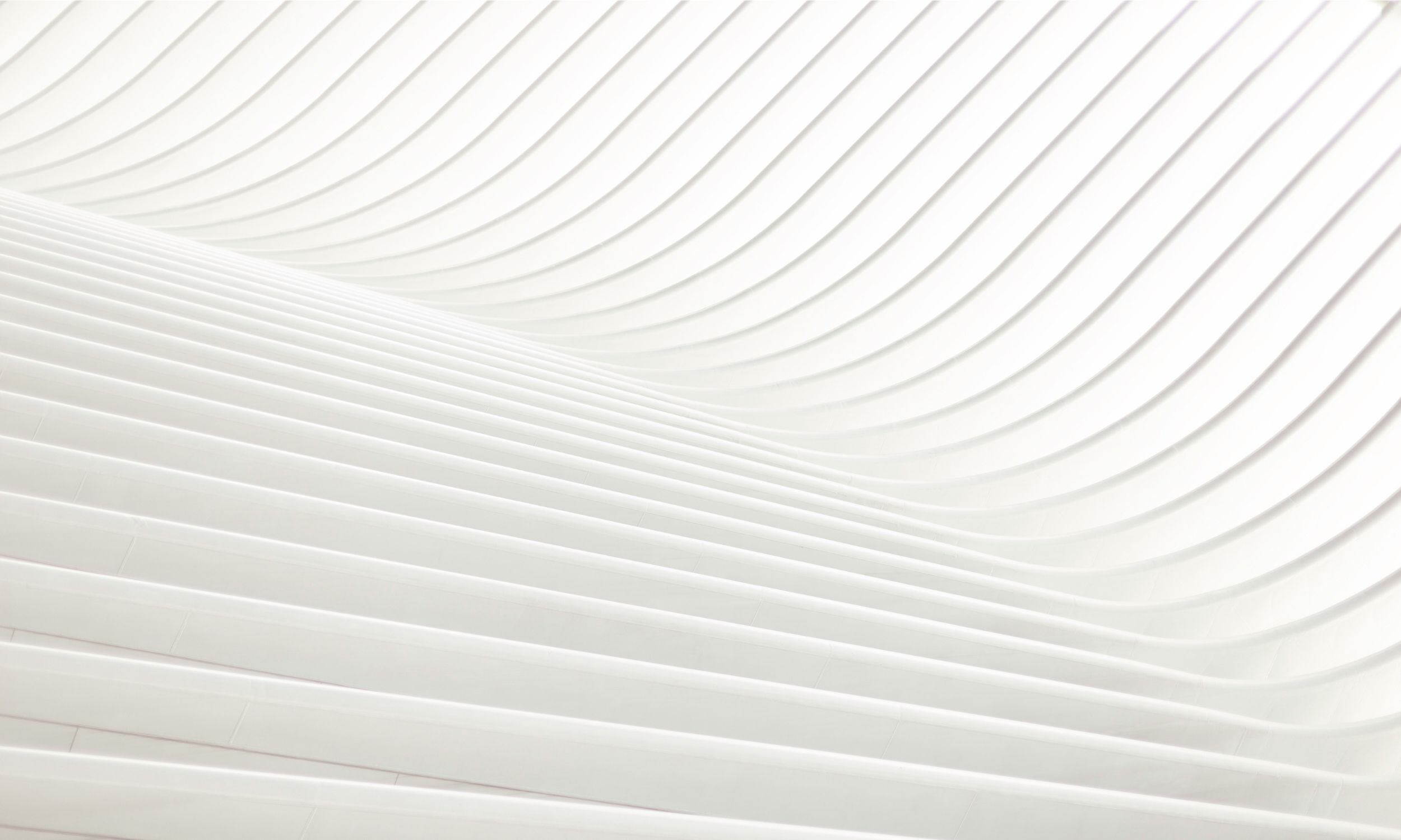 Tracy Edwards Press Release Hero